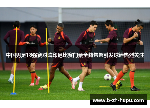 中国男足18强赛对阵印尼比赛门票全数售罄引发球迷热烈关注 中国男足18强赛对阵印尼比赛门票全数售罄引发球迷热烈关注