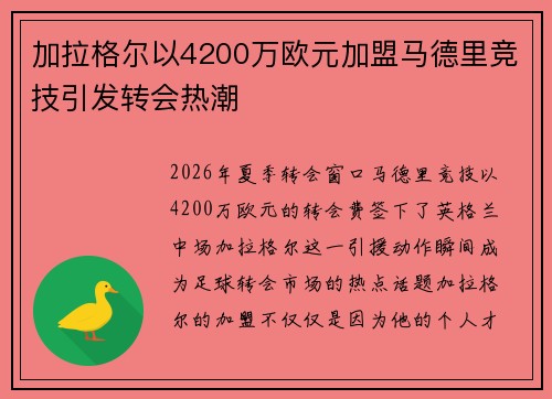 加拉格尔以4200万欧元加盟马德里竞技引发转会热潮
